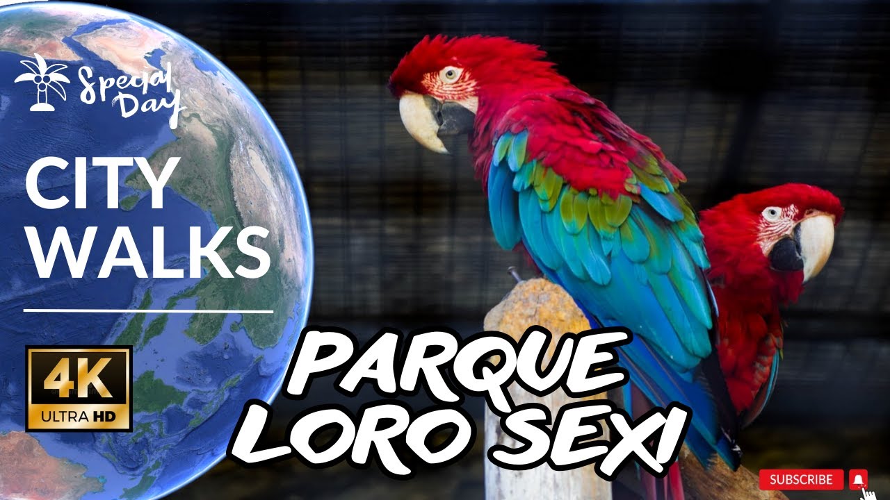 parque-loro-sexi-espa-a-almu-car-ornithological-park-sexy-parrot