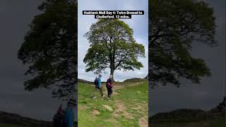 Taking Our Knitting Along Hadrians Wall Part 4.