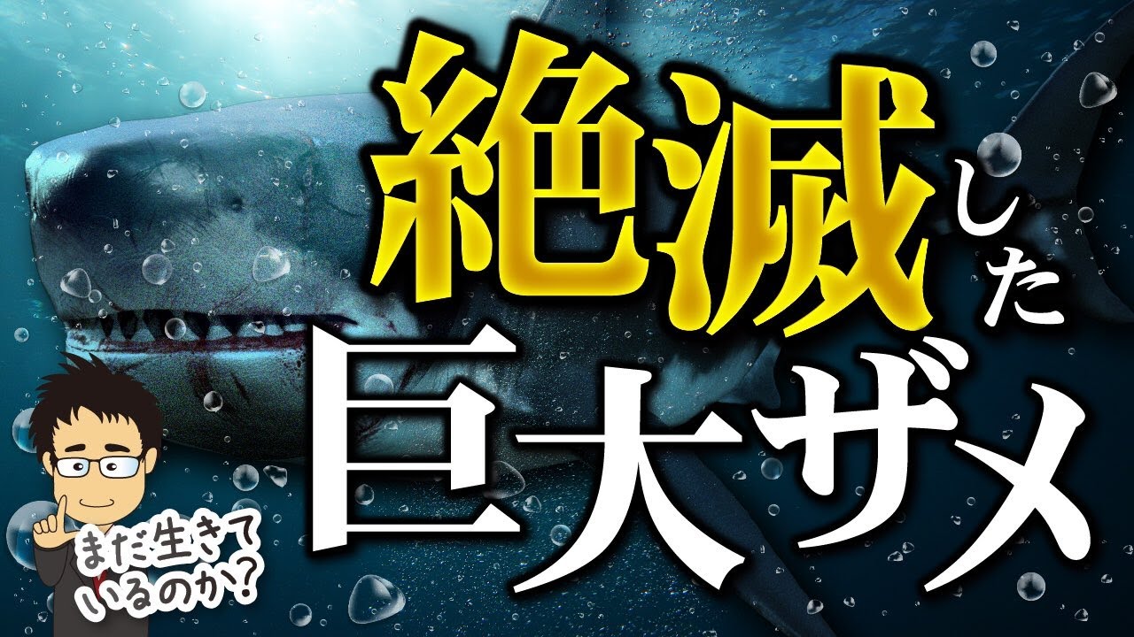 メガロドンの真実！実際の大きさは？なぜ絶滅したのか？今も生きているのか？巨大ザメ】【古代ザメ】【古代生物】