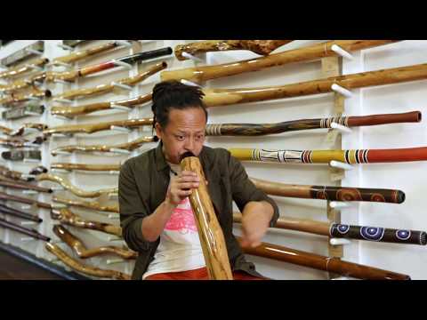 Basic Rhythms /& Much More Learn How To Play The Didgeridoo Online Learn the Didgeridoo Drone Didgeridoo Dojo Beginner Sessions Lifetime Online Access Pass Circular Breathing