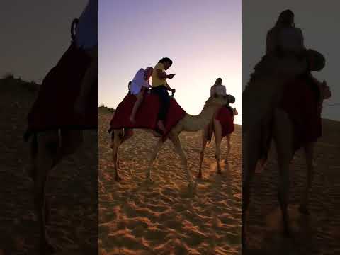 camel ride in the desert camp in Al aveer village Dubai 🏜️ #dubai #uae  #desertsafaridxbme