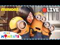 LIVE ULTIMATE MINIONS MARATHON Funny And Silly Minions Movie Clips Mini Moments 