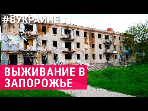 Video: Гуляйполе барагына кайтуу