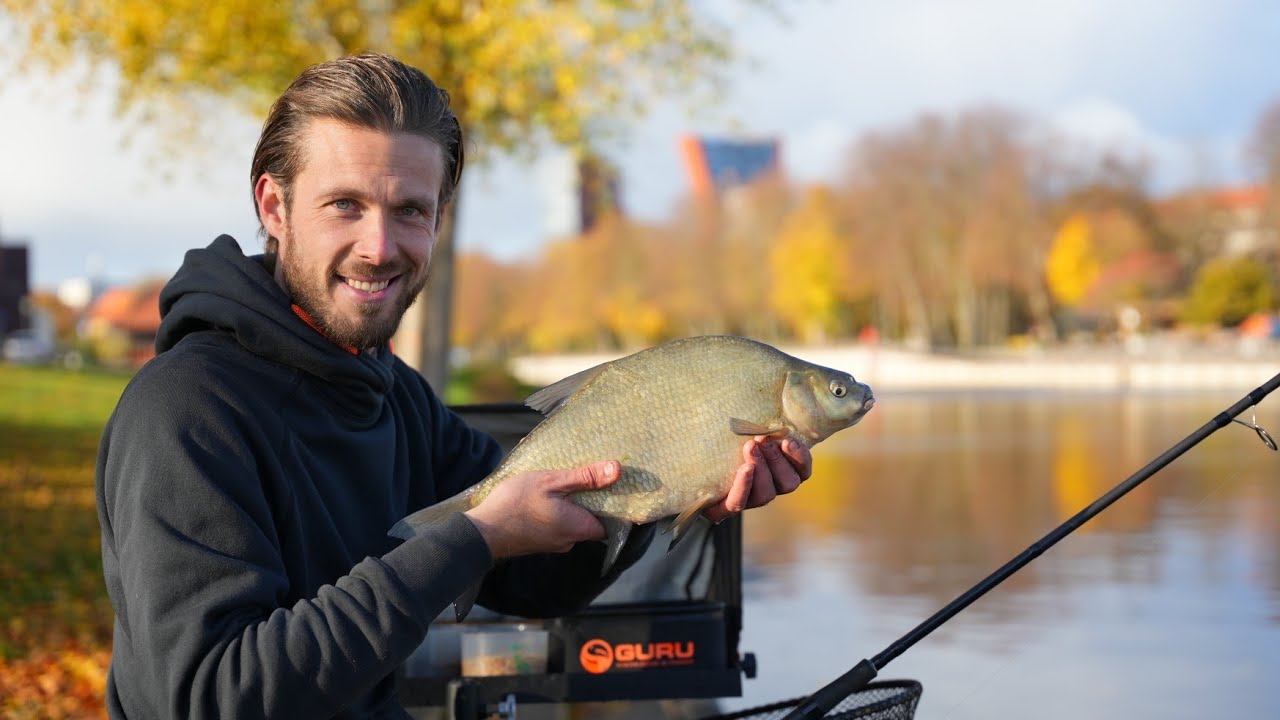 DANĖ ir jos karšiai