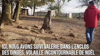 Famille Quintard - À La Ferme