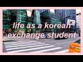 life as a korean exchange student | seoul vlog (cube cafe, noraebang, korean class, etc)