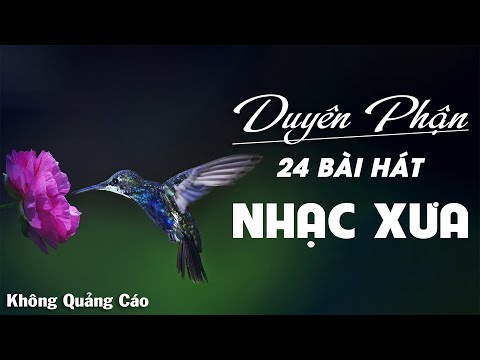 Duyên Phận, Ngày Xưa Anh Nói ❤️ 24 Bài Nhạc Vàng Xưa Hay Bất Hủ Theo Thời Gian ❤️ Sông Quê Bolero