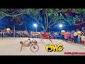 Biggest cycle stunt show  crazy public  maldastuntrider