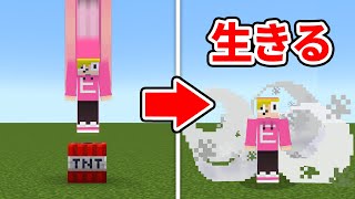 いろんなブロックで落下死を防ぐゲームの難易度が高すぎた【マイクラ】