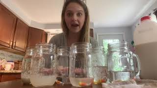 Dissolving Candy Corn Experiment