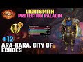 Ara-Kara, City of Echoes +12 | Lightsmith Protection Paladin | TWW SEASON 3 M+