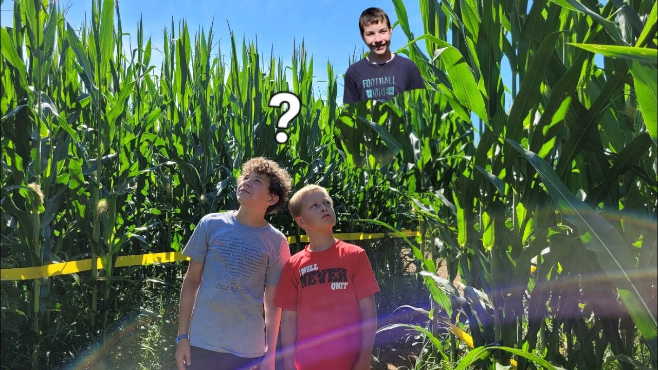 Searching for Landon in a Corn Maze ft. Chasen YouTube