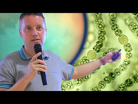 Video: Aká Je Pravdepodobnosť (podľa Vedy) Existencie Mimozemského života - Alternatívny Pohľad