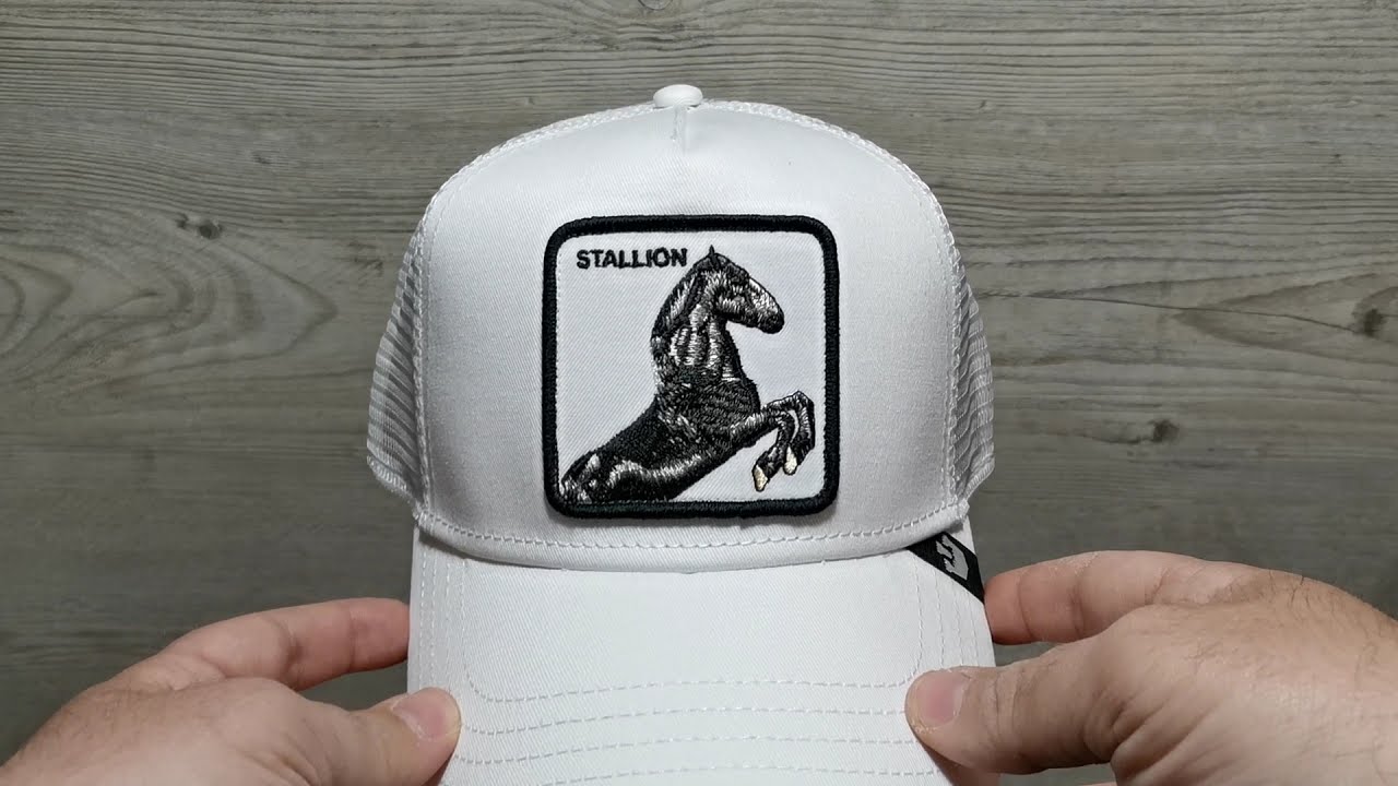 STALLION WHITE GOORIN BROS - YouTube