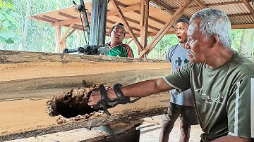 An unexpected incident while sawing an old teak log worth hundreds of millions of US dollars