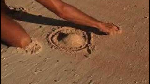 Four Kinds of Coral Reef