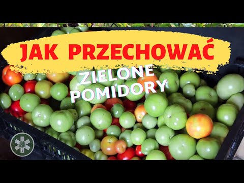 Wideo: Pikantne Zielone Pomidory