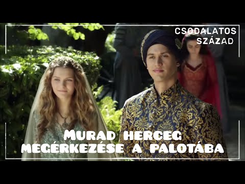 Videó: Perzsa Herceg Csatái