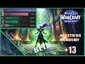 Algeth'ar Academy +13 | Destruction Warlock | Midnight Beta
