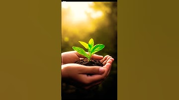 Flower blooming on a plant #blooming #flowers #plants #nature #naturalbeauty