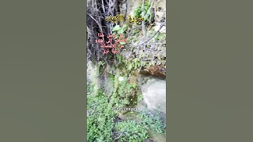 سورة الكهف #youtube #subscribe #اكسبلور #youtuber #تيك_توك #لايك #دويتو #nature #ترند #maroc