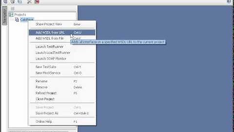 Generate Sample XML using a WSDL in SOAP UI
