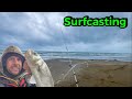 Session surfcasting pche du bar en mditerrane