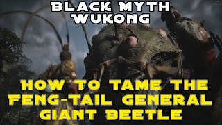 Black Myth: Wukong - How To Tame The Feng-Tail General Giant Beetle In Chapter 6