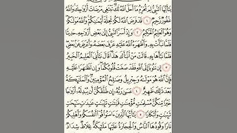 سورة التحريم مكررة كل أية ثلاث مرات بصوت الشيخ الحصري المصحف المعلم