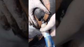 Tattoographer Karan | Sri Lanka VLIP.LV