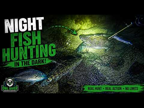 Night Fish Hunting | Epic Spearfishing Adventure in the Dark 🌙🐟