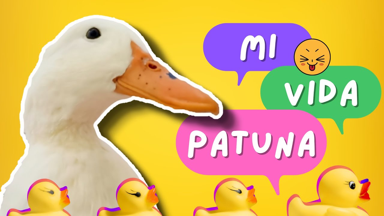 Este pequeño MOMENTO se llama Felicidad con mi PATA | Bowsi