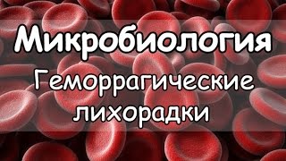 Геморрагическая лихорадка. Микробиология