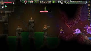 Starbound Part 18 - Floran Artifact
