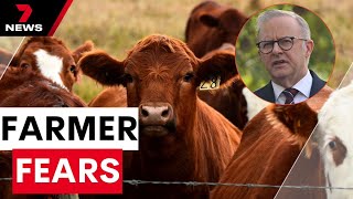 Prime Minister could offer beef in trade talks with Trump | 7NEWS
