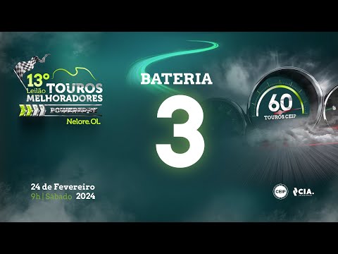 Bateria 3 - 13º Leilão de Touros Melhoradores Nelore OL - Edição Virtual