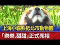 上海小貓熊抵北市動物園 「樂樂.甜甜」正式亮相