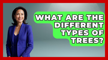 What Are The Different Types Of Trees? - Exploring Campgrounds