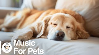 Soothing Music to Relax Your Dog! Calm Your Dog and Combat Anxiety! Sleep Music for Dogs