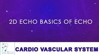 2D ECHO BASICS OF ECHO
