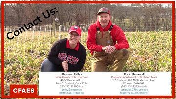 Basic Sheep Nutrition