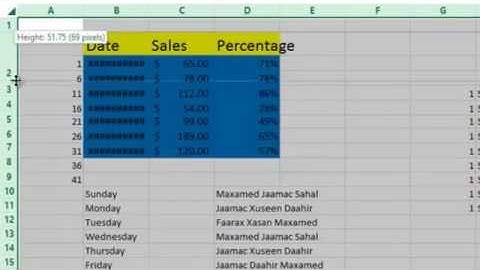 Lesson 10. Modify,Delete,insert Row and Column - Microsoft Excel 2013 - Sahalsoftware - Afsoomaali