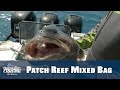 Snapper, Grouper, Mackerel &amp; More On Florida Sport Fishing TV - Watch w/No YouTube Ads at FSFTV.com