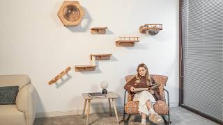 Petomg Living Room Cat Wall Set | Hexagon Bubble House, Perches & Ladder