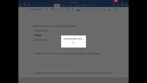 Assignments - Student View