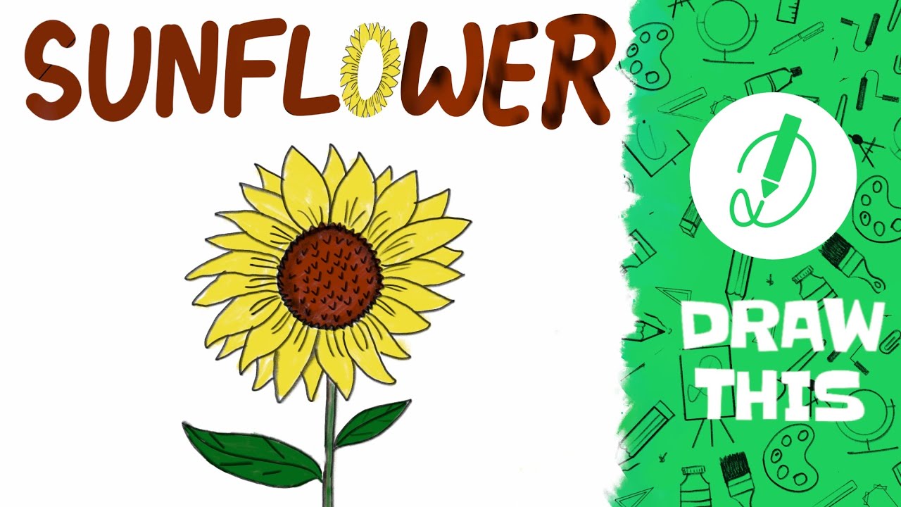 How To Draw A Funny Summer Sunflower 