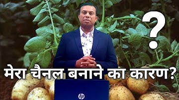 Mera channel banane ka uddeshya , aalu ki report, aalu ka bhav,Deepak shukla