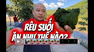 Rêu Suối Ăn Như Thế Nào hả Mẹt? #doanvanbau #xuantrungpham #thimet