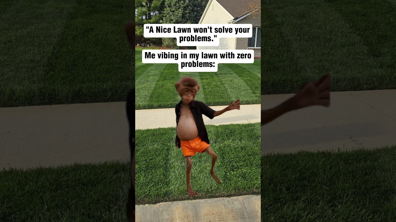 A Nice Lawn Won’t Fix Your Problems… But It Helps! 😎