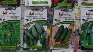 Где купить семена Агрофирмы Партнер?